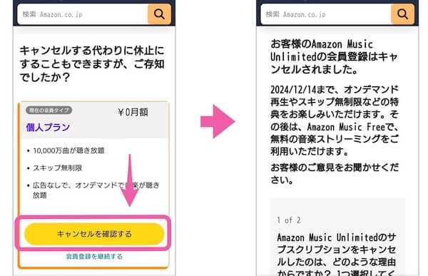 下の方にある「キャンセルに進む」をタップします。