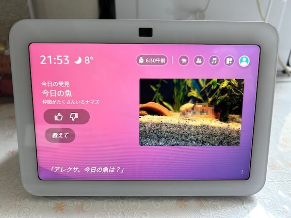 Echo Show 8 中型ディスプレイのアレクサ